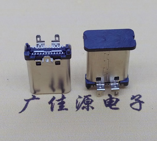 USB Type C公頭直立式