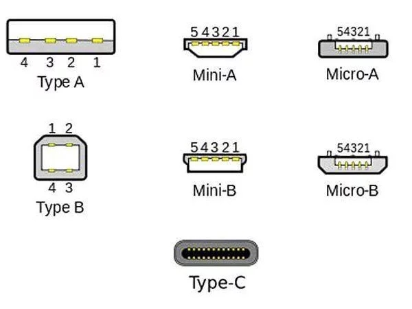 “Type”指的是接口類型