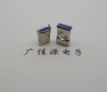 type-c16p公頭鉚合外殼插腳端子立貼長11mm